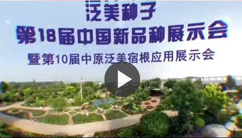 泛美展示會(huì)